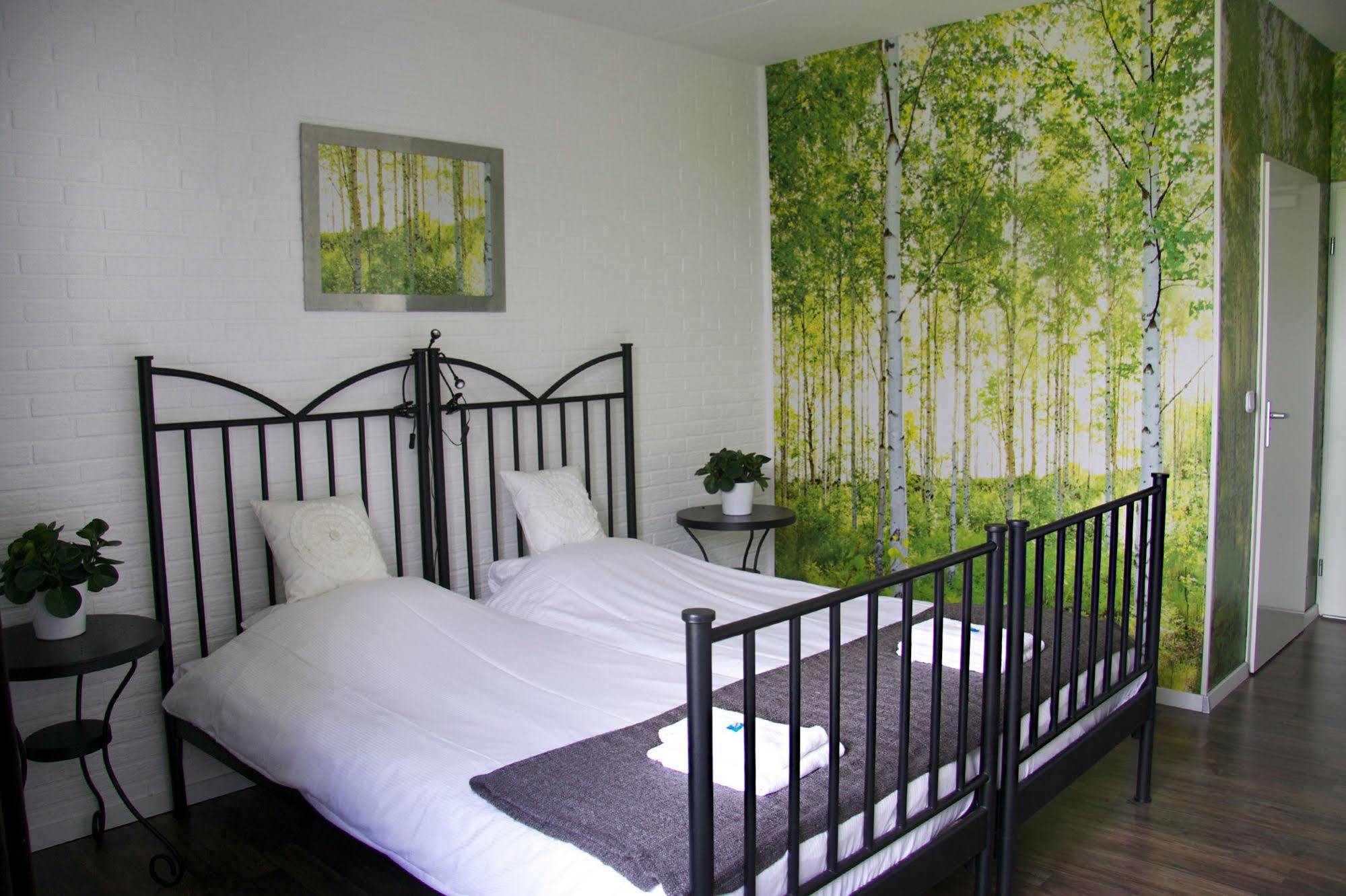 Hotel Buxus Gasselte Exteriér fotografie